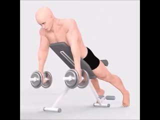 the best exercises for deltas