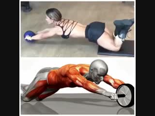 best abs exercises kexibt eghf;ytybz yf ghtcc kexibt eghf;ytybz yf ghtcc kexibt eghf;ytybz yf ghtcc