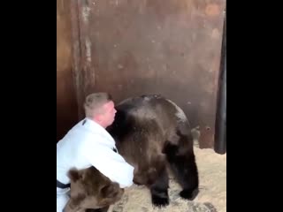 russian sambo wrestler andrey sitnikov wrestled with a bear wrestler. heccrbq cfv,bcn fylhtq cbnybrjd gj,jhjkcz c vtldtltv ,jhwjv. heccrb