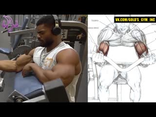 13 exercises to improve the strength and volume of the biceps. rock bazooka hands mp4 13 eghf;ytybq lkz ekexitybz cbks b j,mtvf ,bwtgcf.