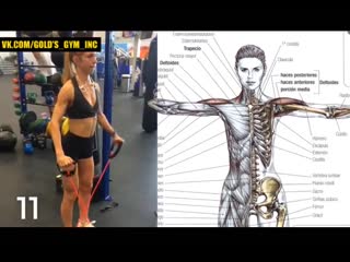 17 shoulder workout options mp4 17 dfhbfynjd nhtybhjdrb gktx mp4