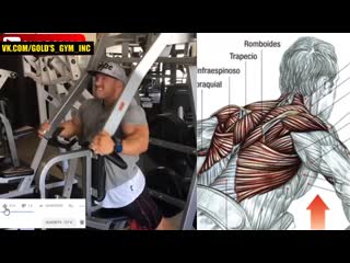 15 exercises for a huge back mp4 15 eghf;ytybq lkz juhjvyjq cgbys mp4