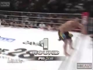 and emelianenko calmed down the bull f tvtkmzytyrj ecgjrjbk ,srf