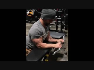 top 10 exercises to get your forearms like popeye njg-10 eghf;ytybq, xnj,s ndjb ghtlgktxmz cnfkb, rfr e gjgfz njg-10