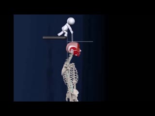 training and the spine. scoliosis. biomechanics nhtybhjdrb b gjpdjyjxybr. crjkbjp. ,bjvt[fybrf