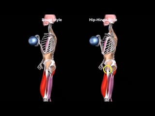 workout with kettlebells. 7 exercises / biomechanics mistakes that kill progress nhtybhjdrf c ubhzvb. 7 eghf;ytybq / ,bjvt[fybrf j