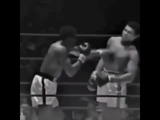 reaction muhammad ali htfrwbz muhammad ali htfrwbz muhammad ali htfrwbz muhammad ali