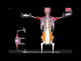 mahi with dumbells. biomechanics. errors. technique vf[b c ufyntkzvb. ,bjvt[fybrf. jib,rb. nt[ybrf