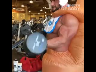 bodybuilder training in a kangaroo suit ,jlb,bklth nhtybhetncz d rjcn vt rtyuehe