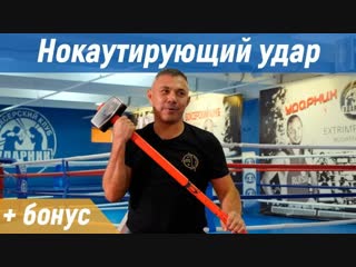 kostya tszyu. knockout blow several exercises for the power of impact. rjcnz wp.. yjrfenbhe obq elfh ytcrjkmrj eghf;ytybq yf cbke