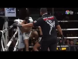 muaythai knockouts, november 15-30, 2018 yjrfens d vefqnfq, 15-30 yjz,hz 2018